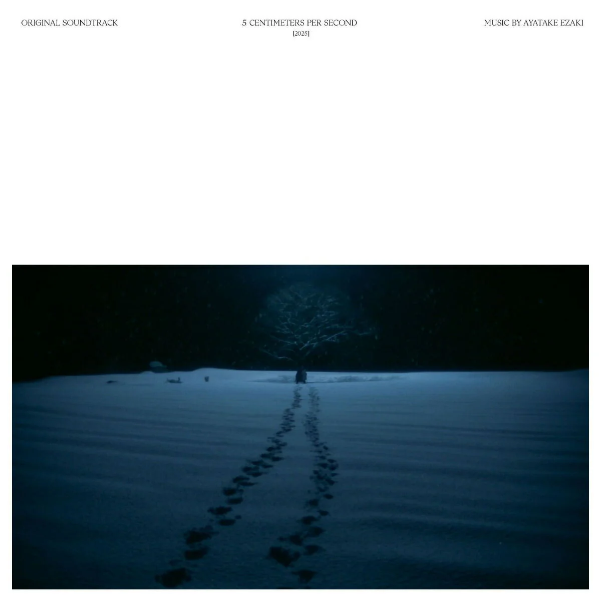 5 Centimeters Per Second Live-Action Movie Original Soundtrack [Japanese Import]