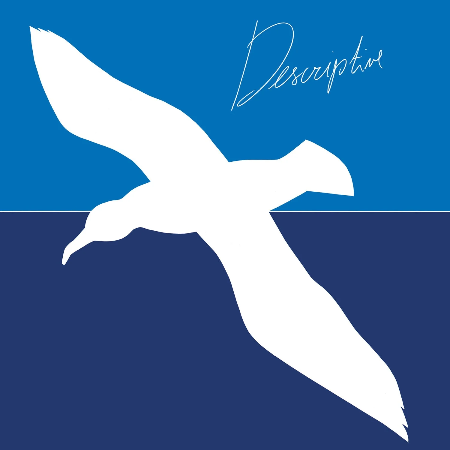 Descriptive (RSD 2024 EU/UK Exclusive) [Import]