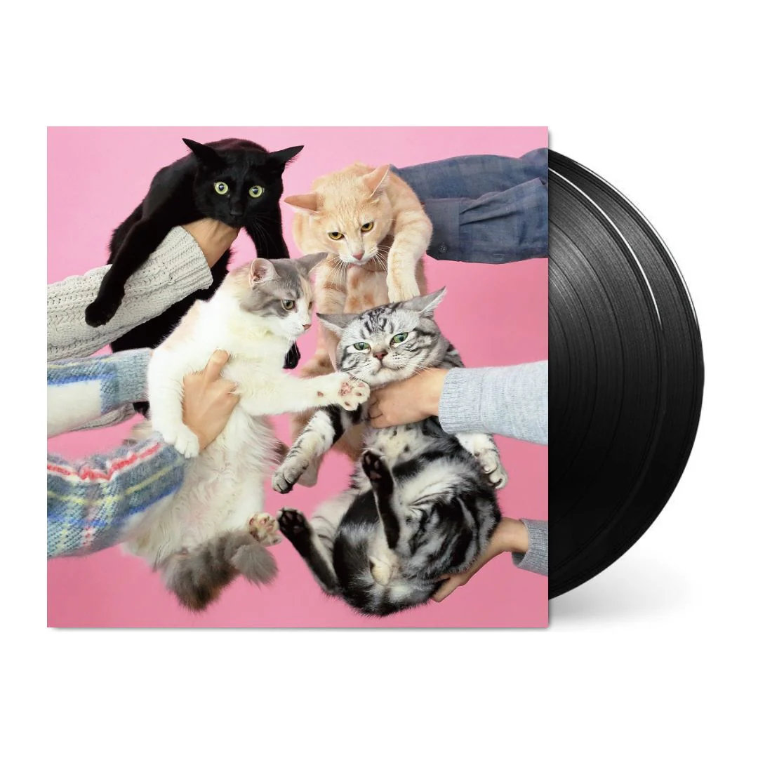 Neko to Allergy [Japanese Import] - Image 2