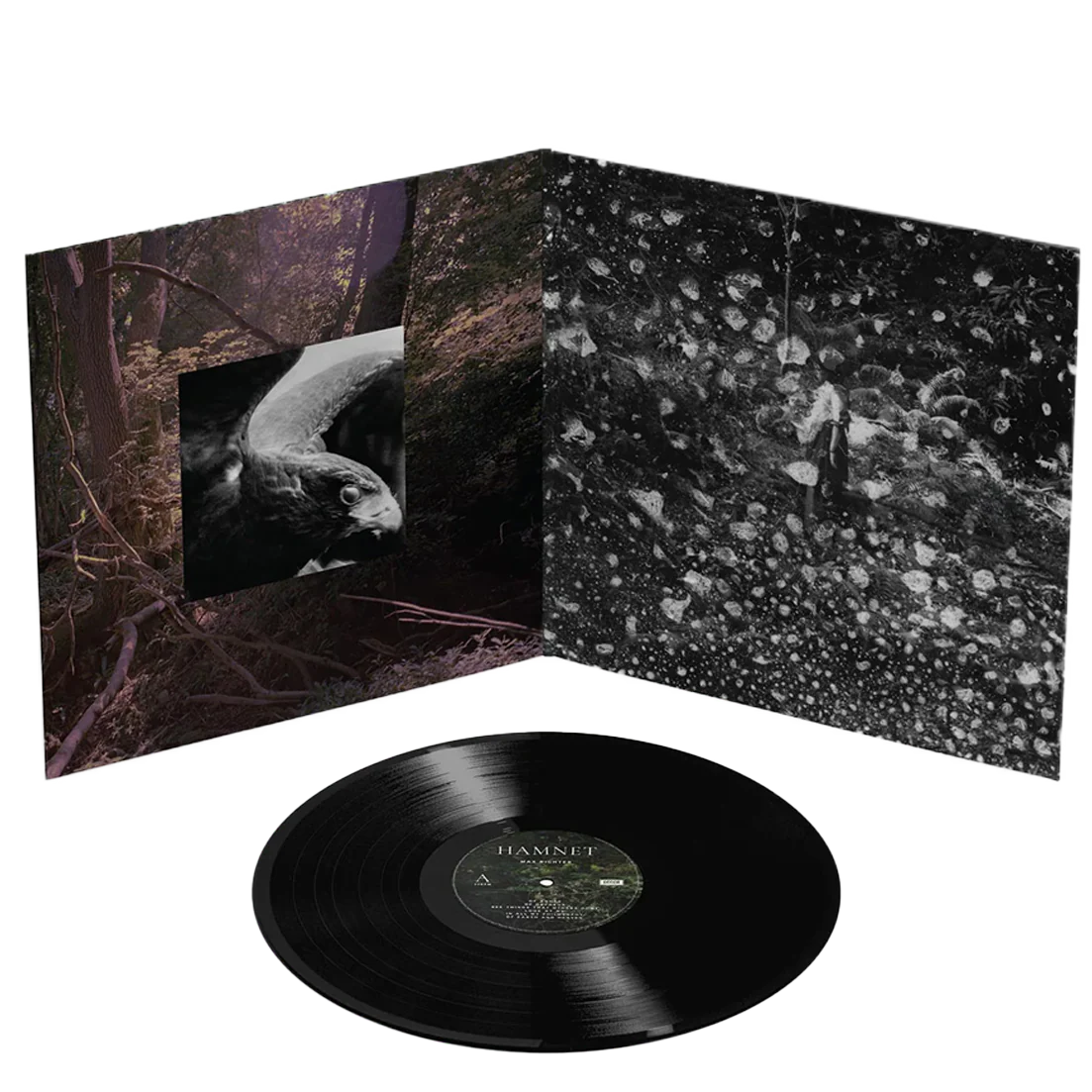 Hamnet (Original Motion Picture Soundtrack) - Image 3