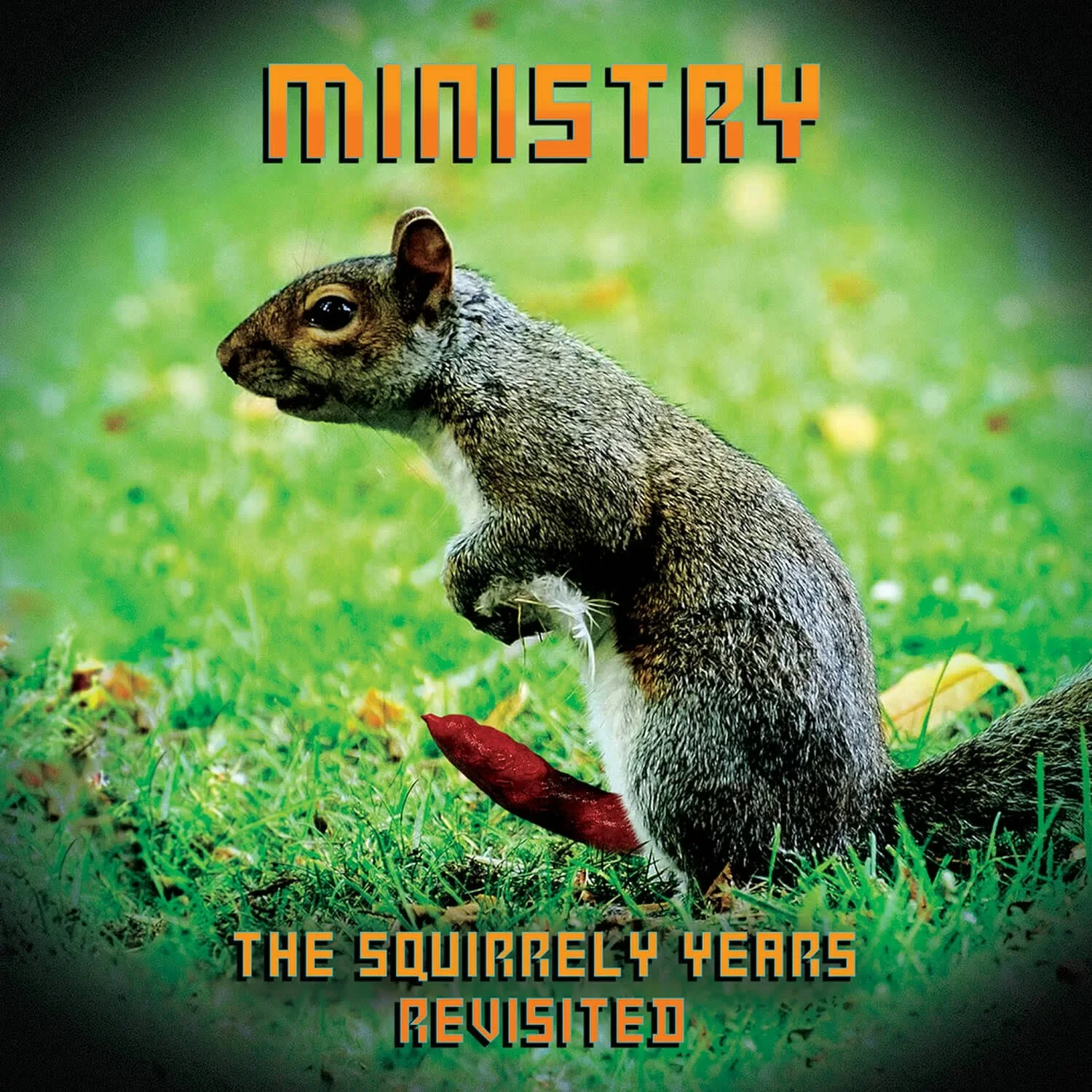 The Squirrely Years Revisited