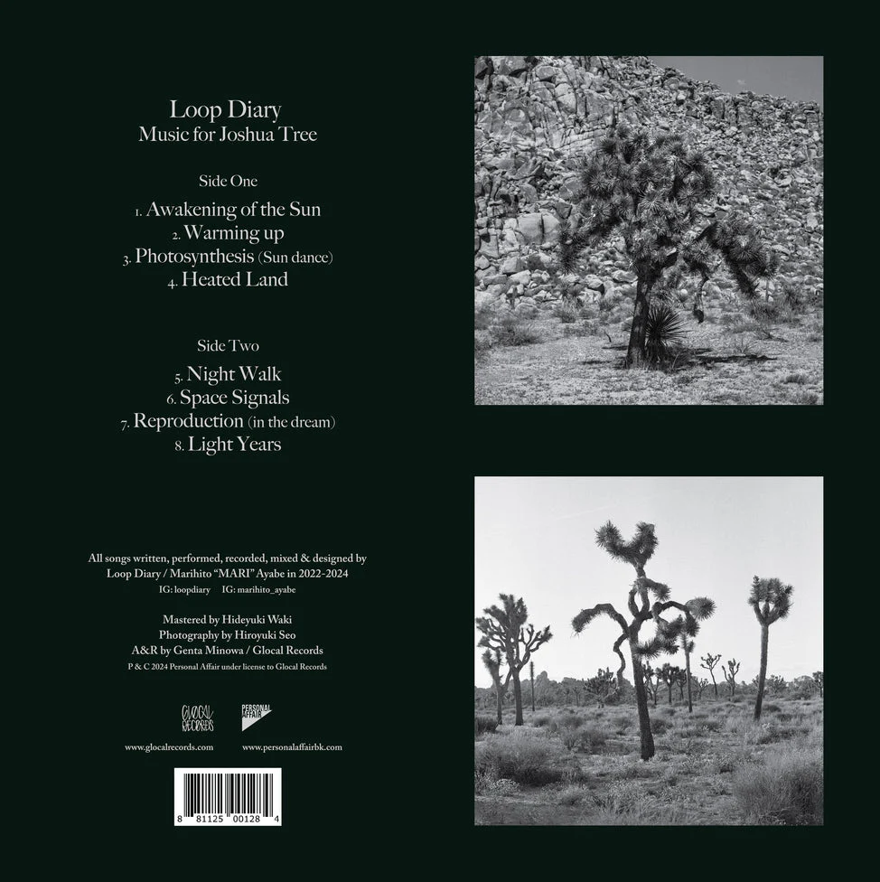 Music for Joshua Tree - Image 3