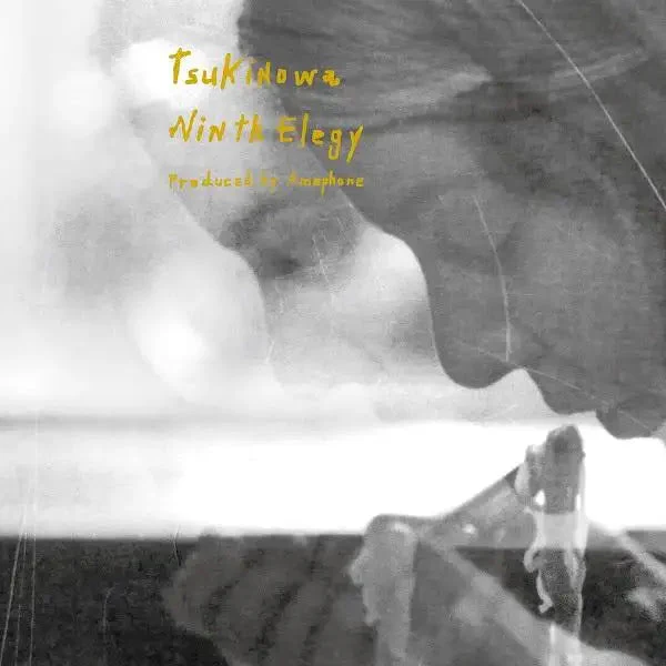Ninth Elegy [Japanese Import]