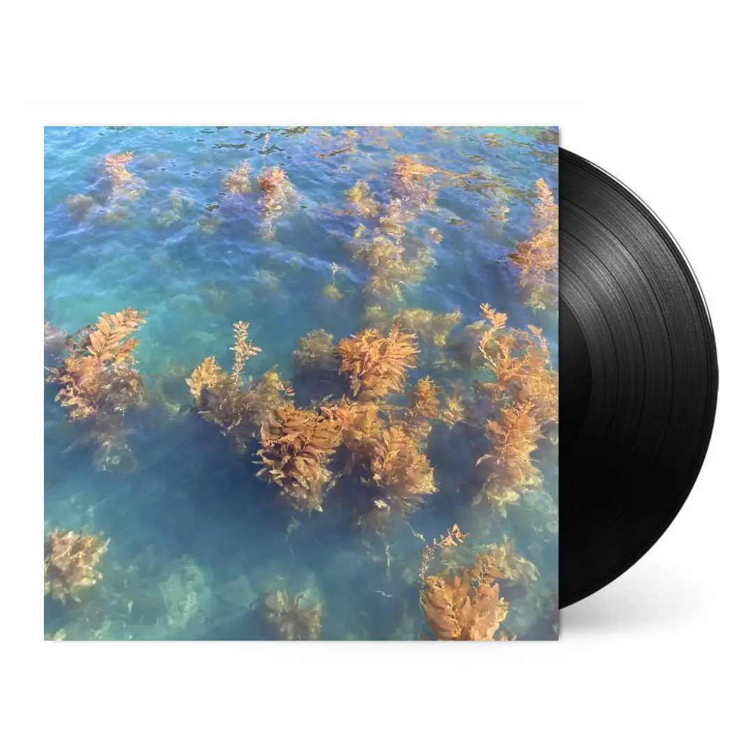 Ocean Garden [Japanese Import] - Image 2