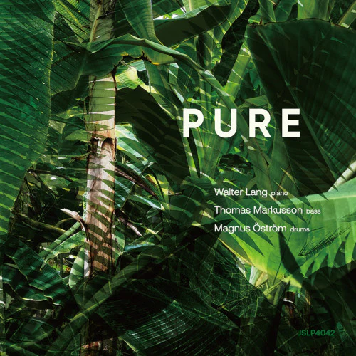 PURE [Japanese Import]