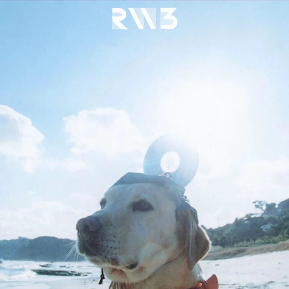 Radwimps 3 ~Mujintou Ni Motteikiwasureta Ichimai~ [Japanese Import]