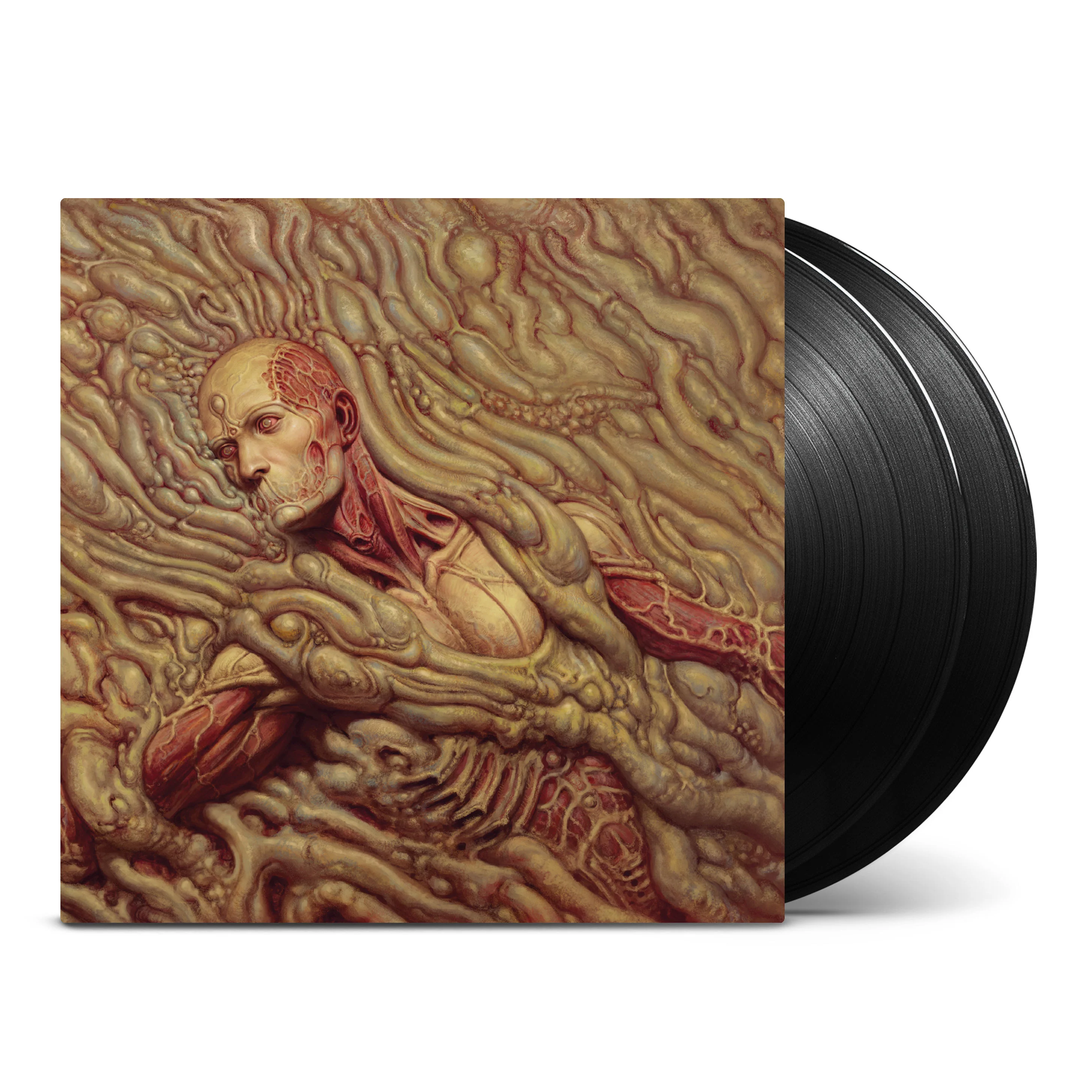 Scorn [Import] - Image 2