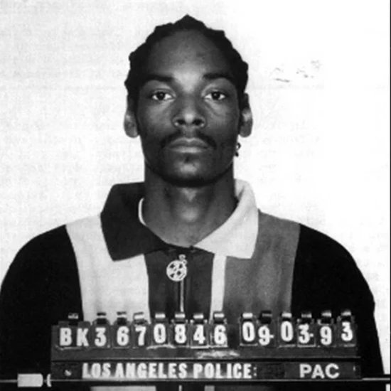 Snoop Dog - Mug Shot (12" x 12") [Poster]