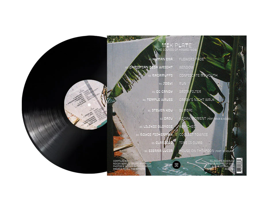 Mix Plate - Image 3
