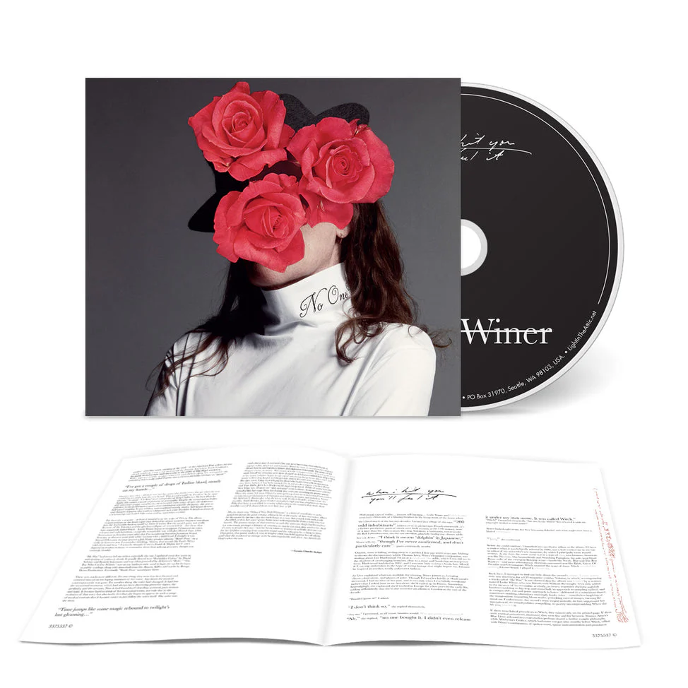 When I Hit You — You'll Feel It [CD] - Image 2